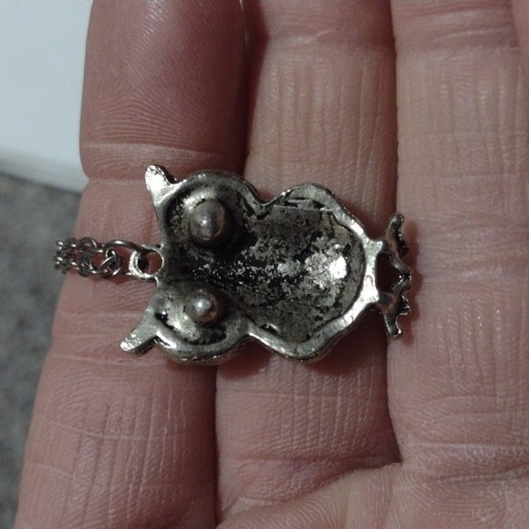 AEROPOSTALE BRASS-TONE OWL AND UNBRANDED SILVER-TONE OWL PENDANT NECKLACES - Picture 6 of 15